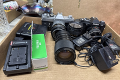 LOT-0431