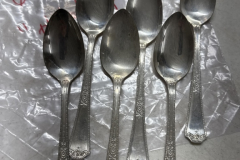 LOT-0525