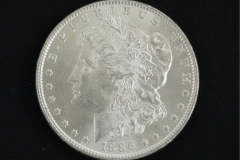 66