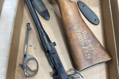 LOT-243-1