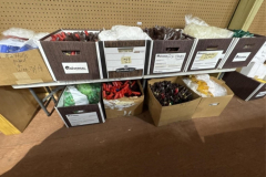 LOT-315-1