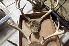 LOT-55-1